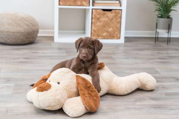 Hundebamse Benny i plysj 75cm