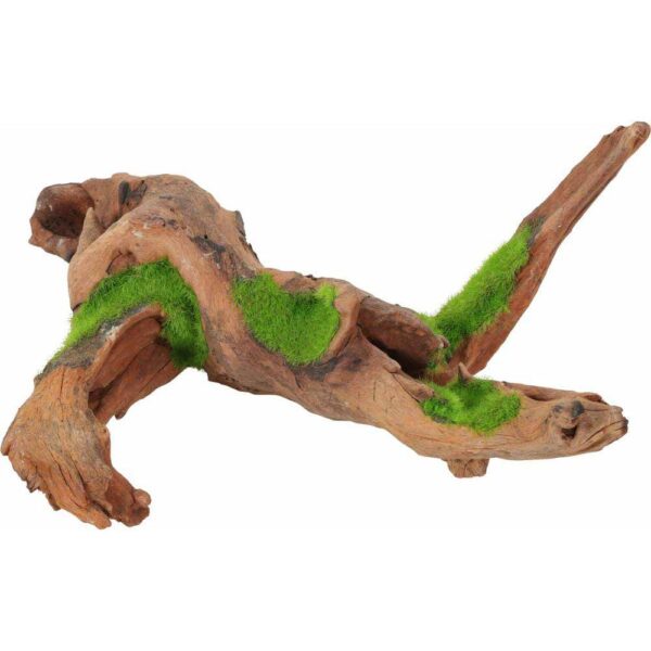 Akvariedekorasjon Kipouss Malaysia Rot M m/levende plantefrø