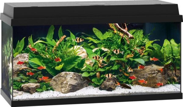 Juwel Primo akvarie sort 110L