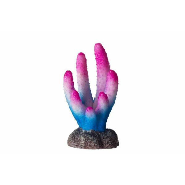 Akvariedekorasjon Korall Rosa/hvit/blå 3x29x5,5cm