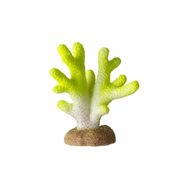 Akvariedekorasjon Korall Lime 4,5x2,5x5,1cm