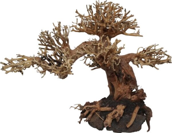 Akvariedekorasjon Trerot Peaceful Bonsai 30x15x23cm