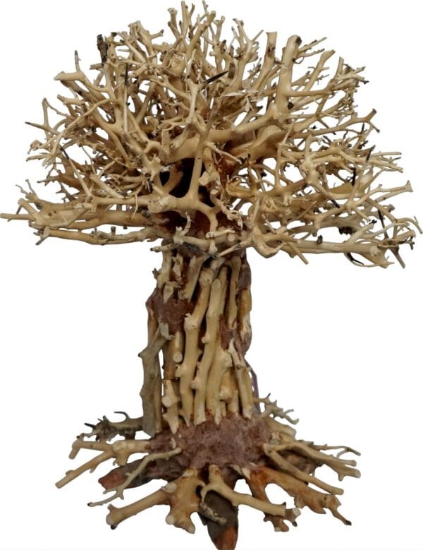 Akvariedekorasjon Trerot Pagodebonsai 10x10x15cm