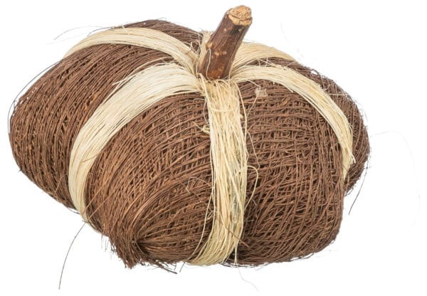 Gnagerleke Gresskar Kokosnøtt 9x6cm