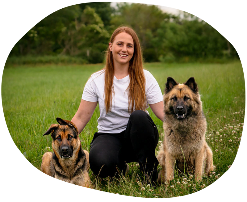 Hundeavdeling - HCPet