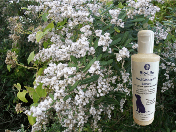 Bio-Life MediCleanse Balsam Hund (Allergihemmende) 250ml
