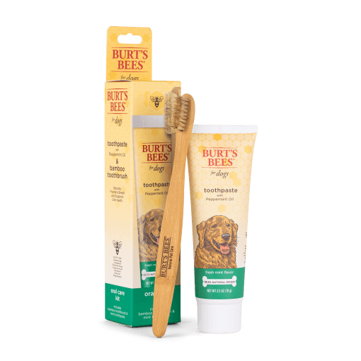Burt's Bees Tannpleiesett
