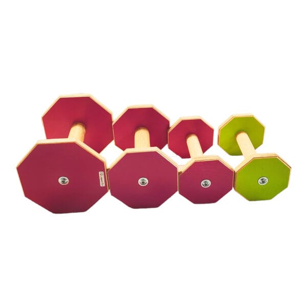 LGapporter lydighetsapport cerise S