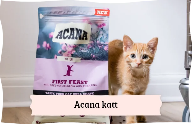 Acana katteprodukter