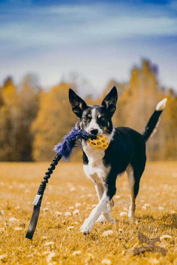 Doggie-Zen draleke fuskepels med Hol-ee Fotball Mini