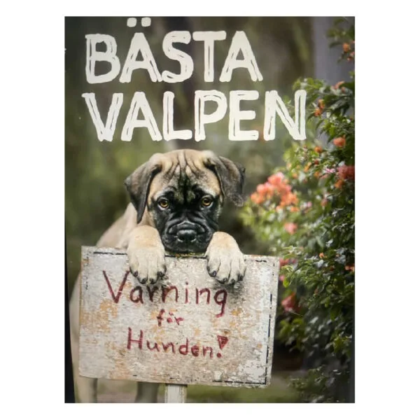 Bok Bästa Valpen