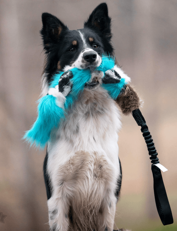 Doggie-Zen draleke pelsflette m/forskjellige typer pels m/strikk L