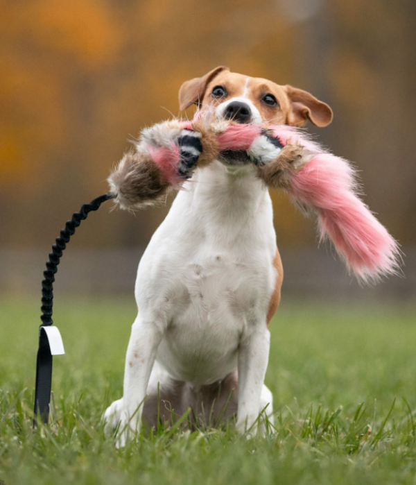 Doggie-Zen draleke pelsflette m/forskjellige typer pels m/strikk S