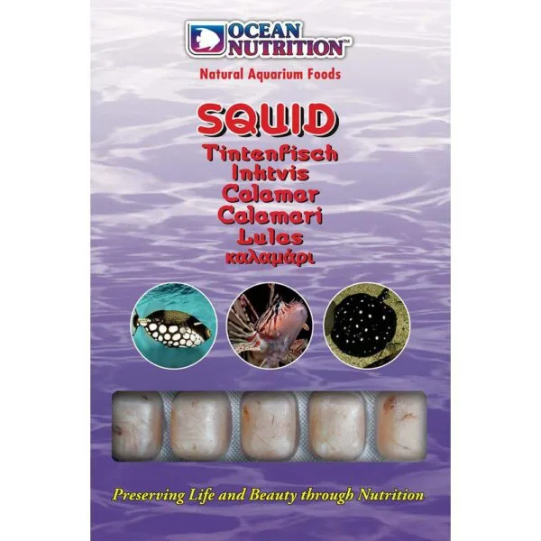 Ocean Nutrition Fryst Squid 100g