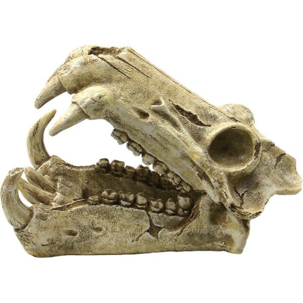 Akvariedekorasjon Kranie 20x11x13cm