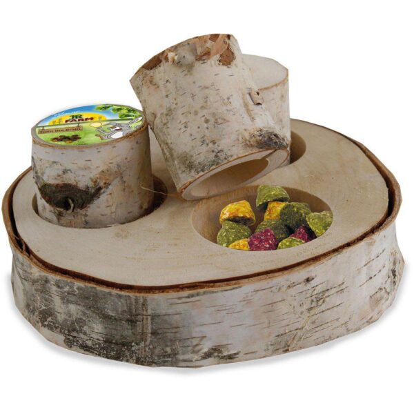 JR Farm Back to Instinct Train the Brain Forest ø16cm