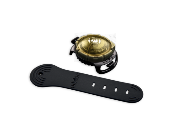 Orbiloc dog safety light gold