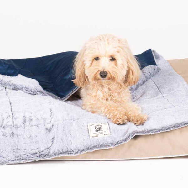 DogGoneSmart Hundeteppe Chill Kuzzi SLate Blue 102x127cm