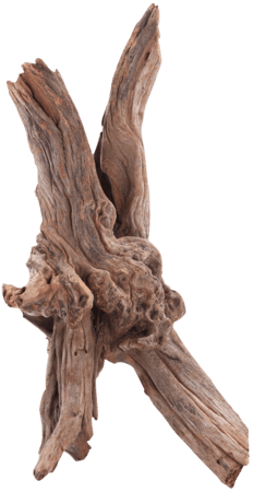 Sera Driftwood 45-60cm L