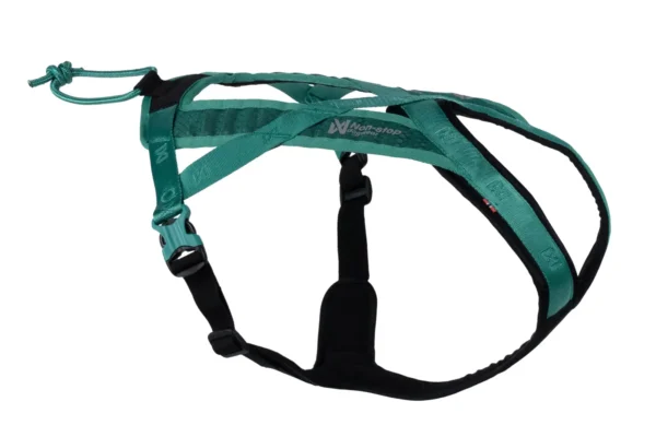 Non-Stop Dogwear Rush Harness teal str. 2