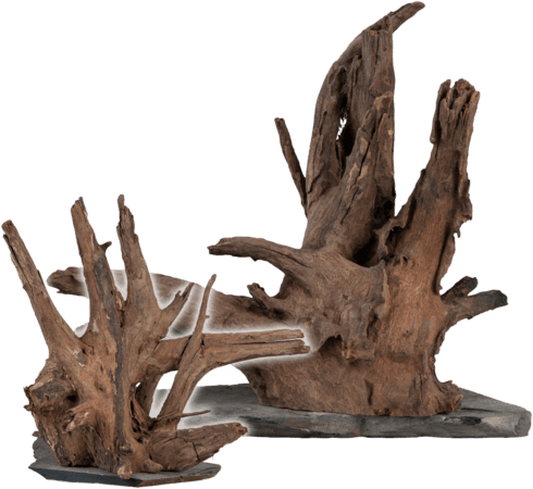 Sera Scraper Wood L 30-35cm
