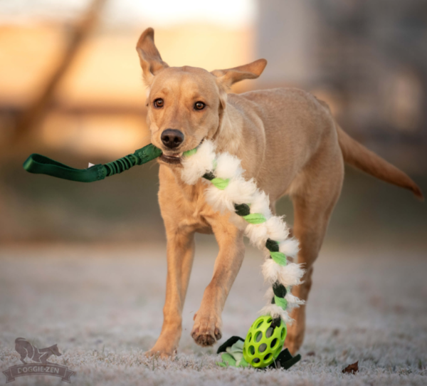 Doggie-Zen draleke Hol-ee fleece- og saueull flette med strikk