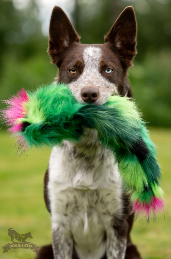 Doggie-Zen draleke pipekaktus
