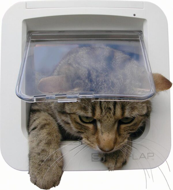 SureFlap Microchip Kattedør hvit 21x21cm