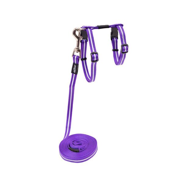 Rogz Alleycat Sele m/kobbel Lilla m/refleks S 11mmx24-40cm