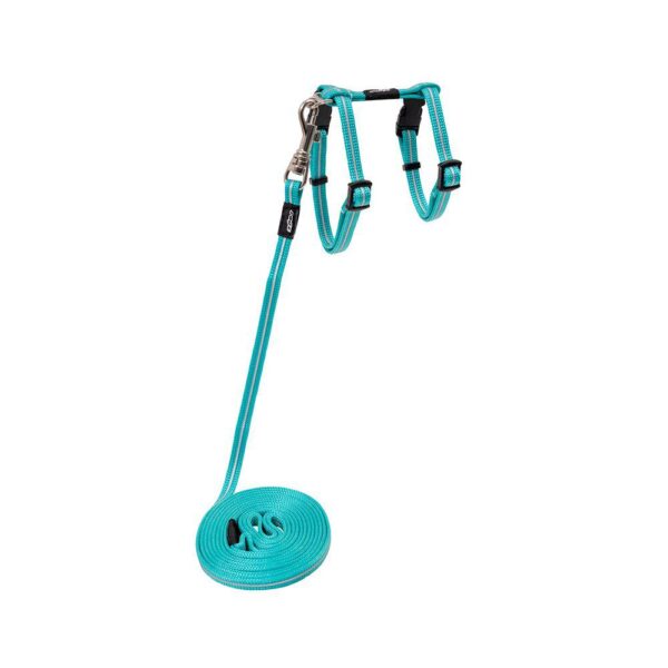 Rogz Alleycat Sele m/kobbel Turkis m/refleks XS 8mmx19-30cm