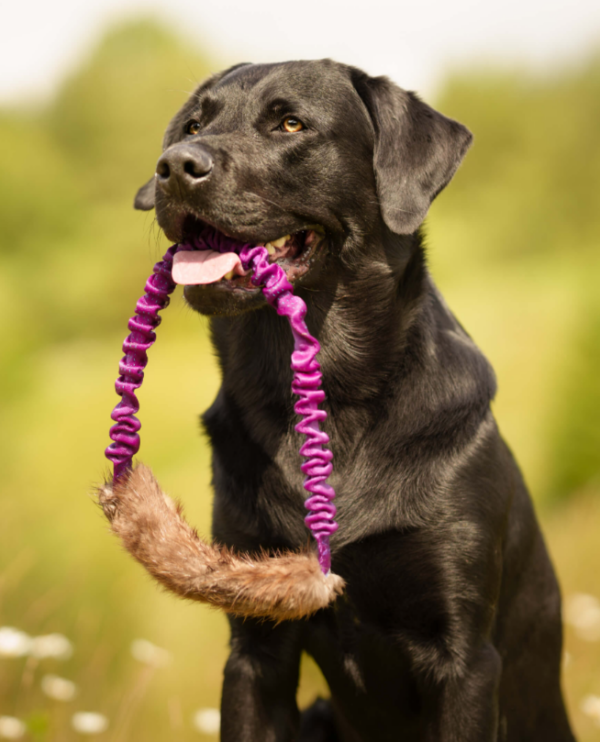 Doggie-Zen Beverpels ring m/strikk