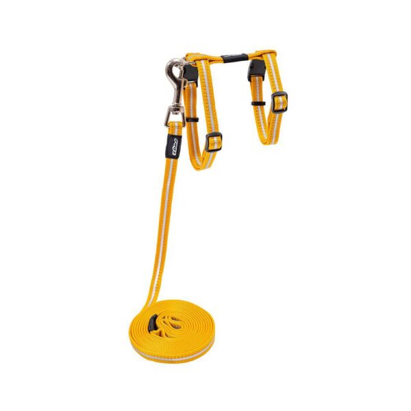 Rogz Alleycat Sele m/kobbel Orange m/refleks S 11mmx24-40cm