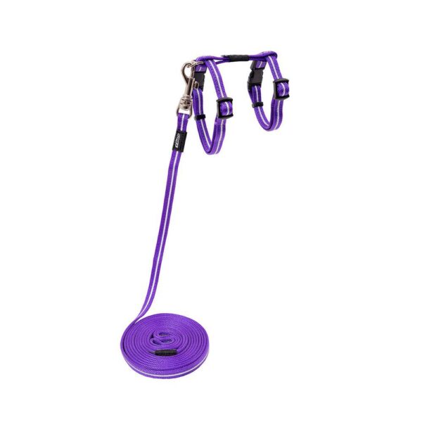 Rogz Alleycat Sele m/kobbel Lilla m/refleks XS 8mmx19-30cm