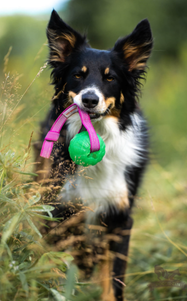 Doggie-Zen draleke Super Grip med Starmark Chewball M 7cm