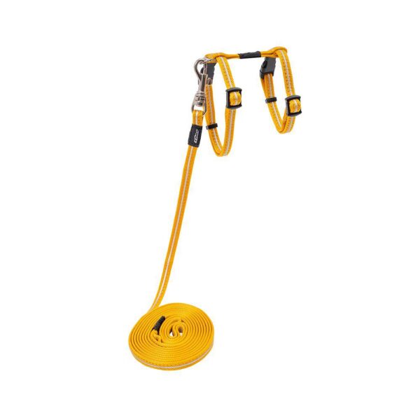 Rogz Alleycat Sele m/kobbel Orange m/refleks XS 8mmx19-30cm