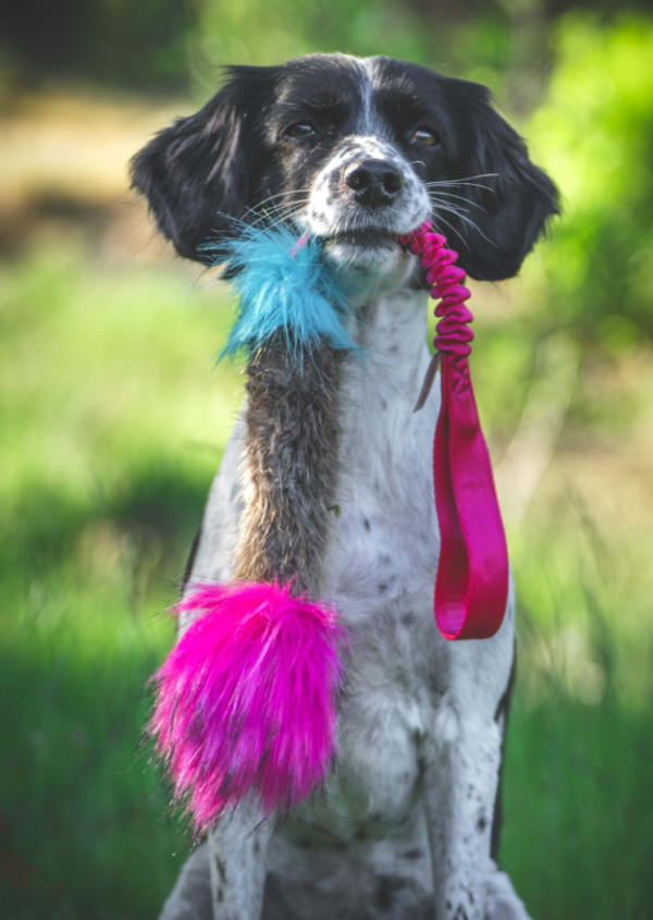 Doggie-Zen Bever-/fuskepels draleke m/pip L