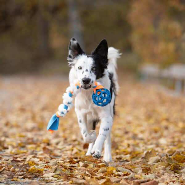 Doggie-Zen Fleece- og kaninpelsflette med Hol-ee Roller S