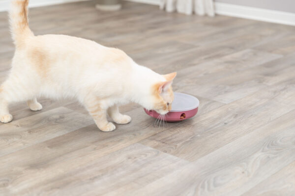 Katteleke Cat Activity Rocking Maze ø18cm