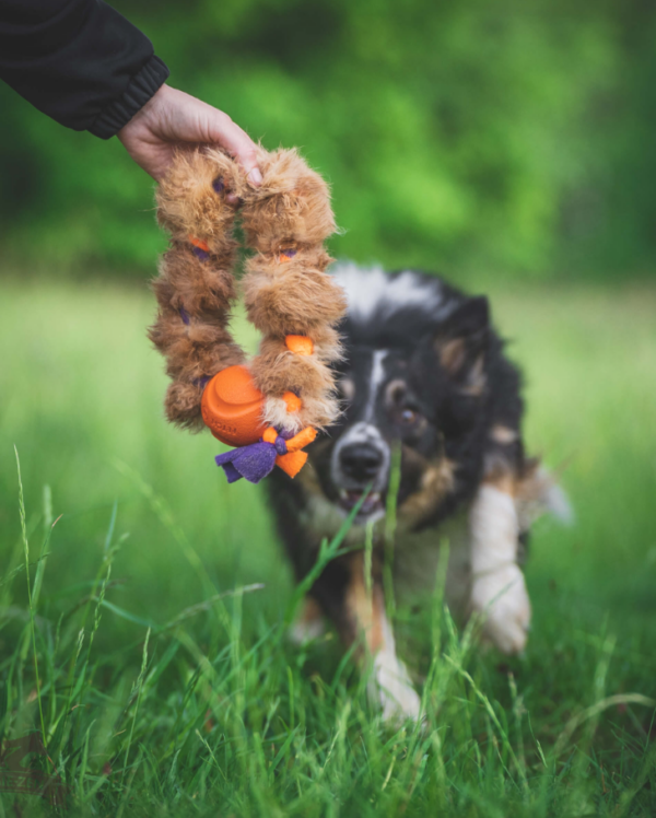 Doggie-Zen Fleece- og kaninpelsflette med Chuckit M ball