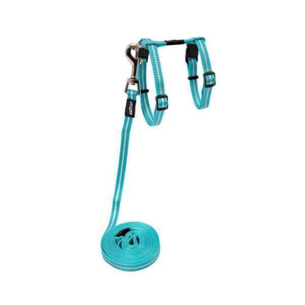 Rogz Alleycat Sele m/kobbel Turkis m/refleks S 11mmx24-40cm