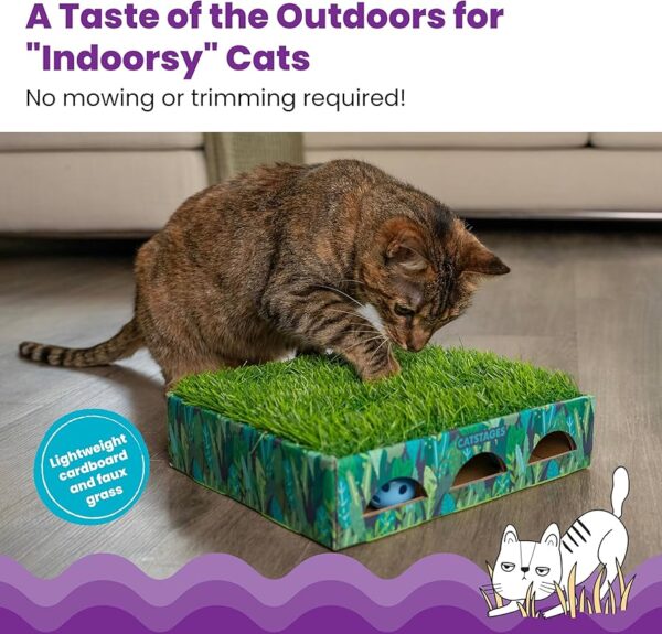Catstages Grass Patch Hunting Box