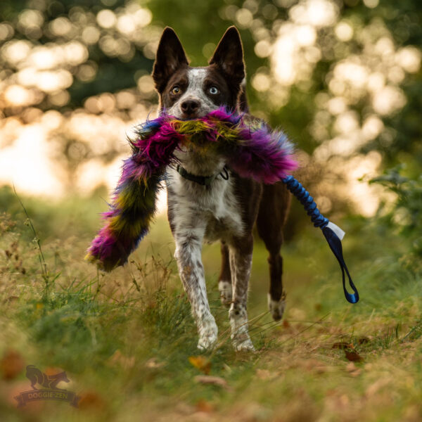 Doggie-Zen draleke m/strikk fuskepels Bonanza L