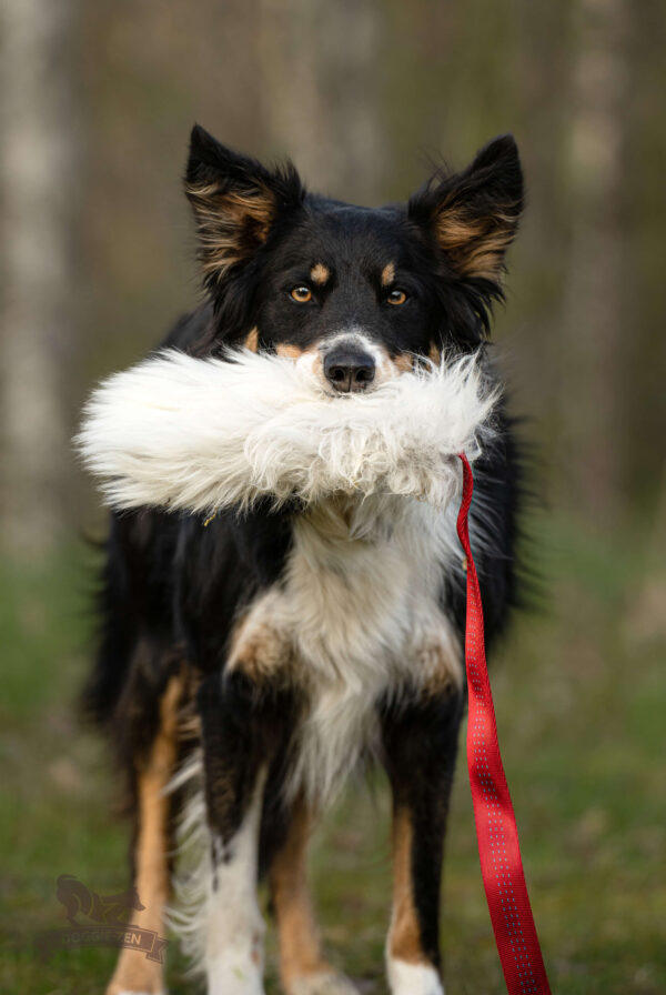 Doggie-Zen draleke sauepels L