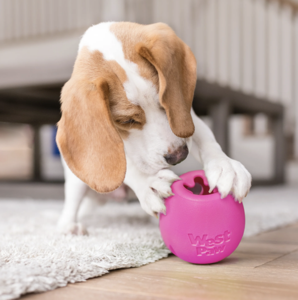 WestPaw Rumbl Hot Pink small