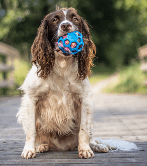 Doggie-Zen hjortepelspipp til Hol-ee baller S