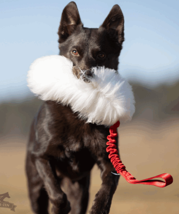 Doggie-Zen draleke sau m/strikk M