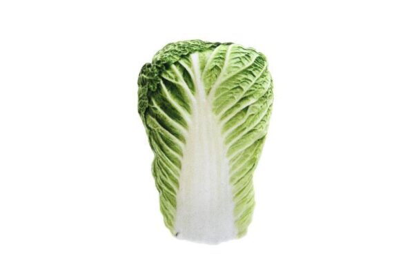 Ferribiella Katteleke Salat