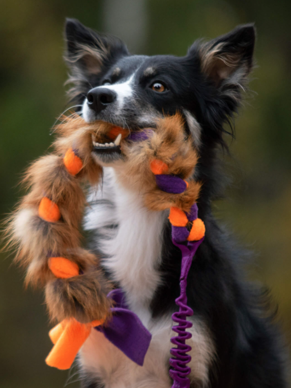 Doggie-Zen draleke m/strikk Fleece- & revepelsflette M