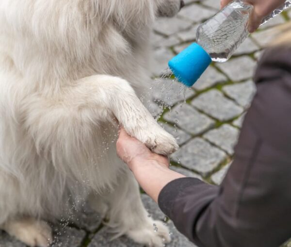 "Mobil hundedusj" hode til flaske blå ø5x5,5cm