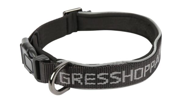 Gresshoppa Rjukan grå justerbart halsbånd 55-70cm